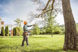 Best Emergency Tree Removal  in Lodi, NJ